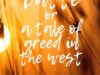 White Butte: Free Western eBook