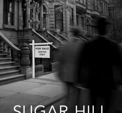 Witchy Whodunits and CIA Assassins: Free Mystery eBooks