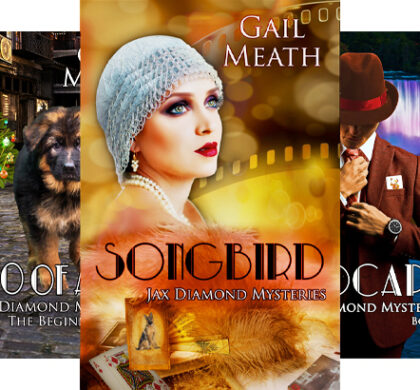 Jax Diamond Cozy Mystery Series
